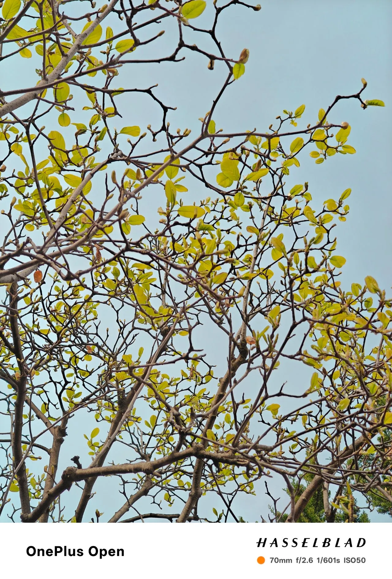 1280%EF%BC%BFIMG20250416162843.jpg?type=w1600