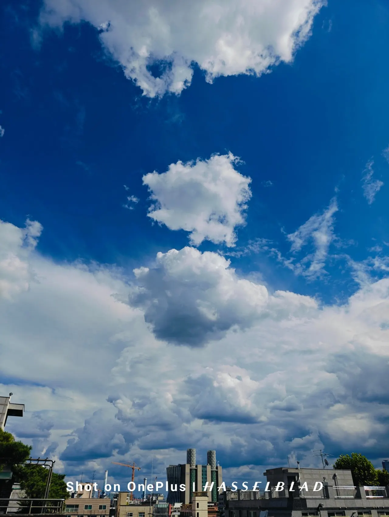 IMG20241003141539.jpg?type=w1600