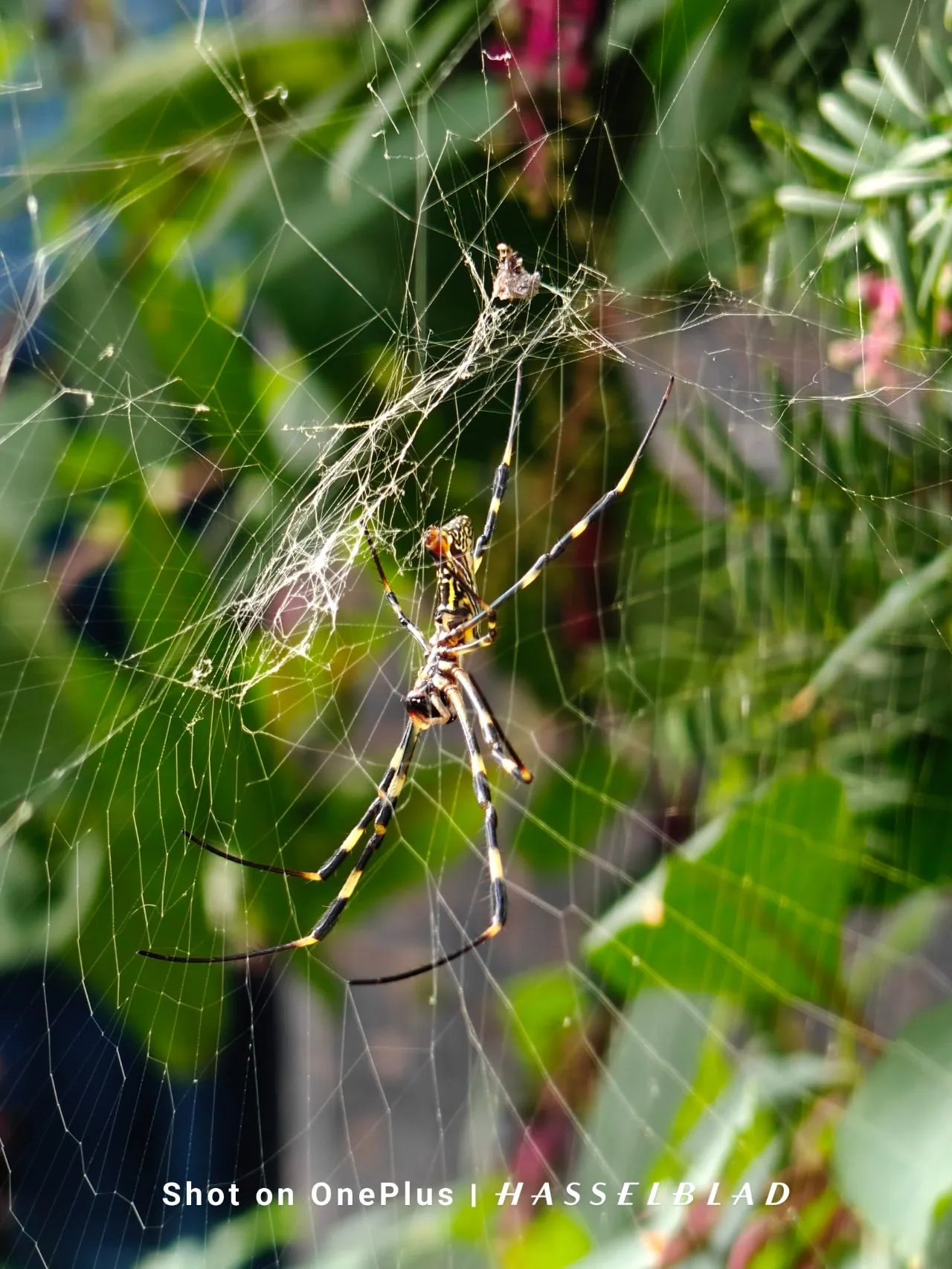 IMG20240926090610.jpg?type=w1600