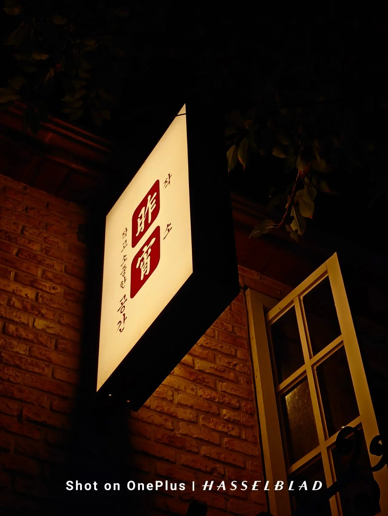 IMG20240908193935.jpg?type=w1600