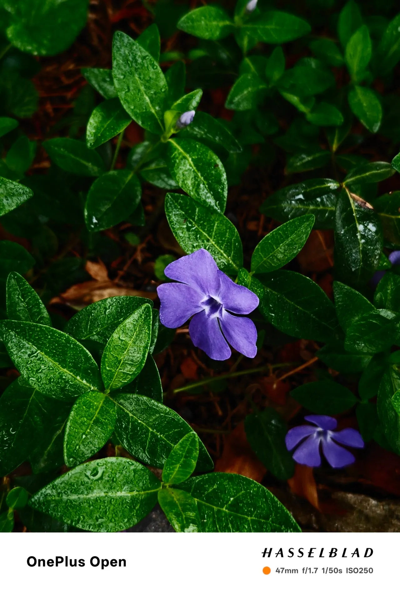 1280%EF%BC%BFIMG20250419075813.jpg?type=w1600