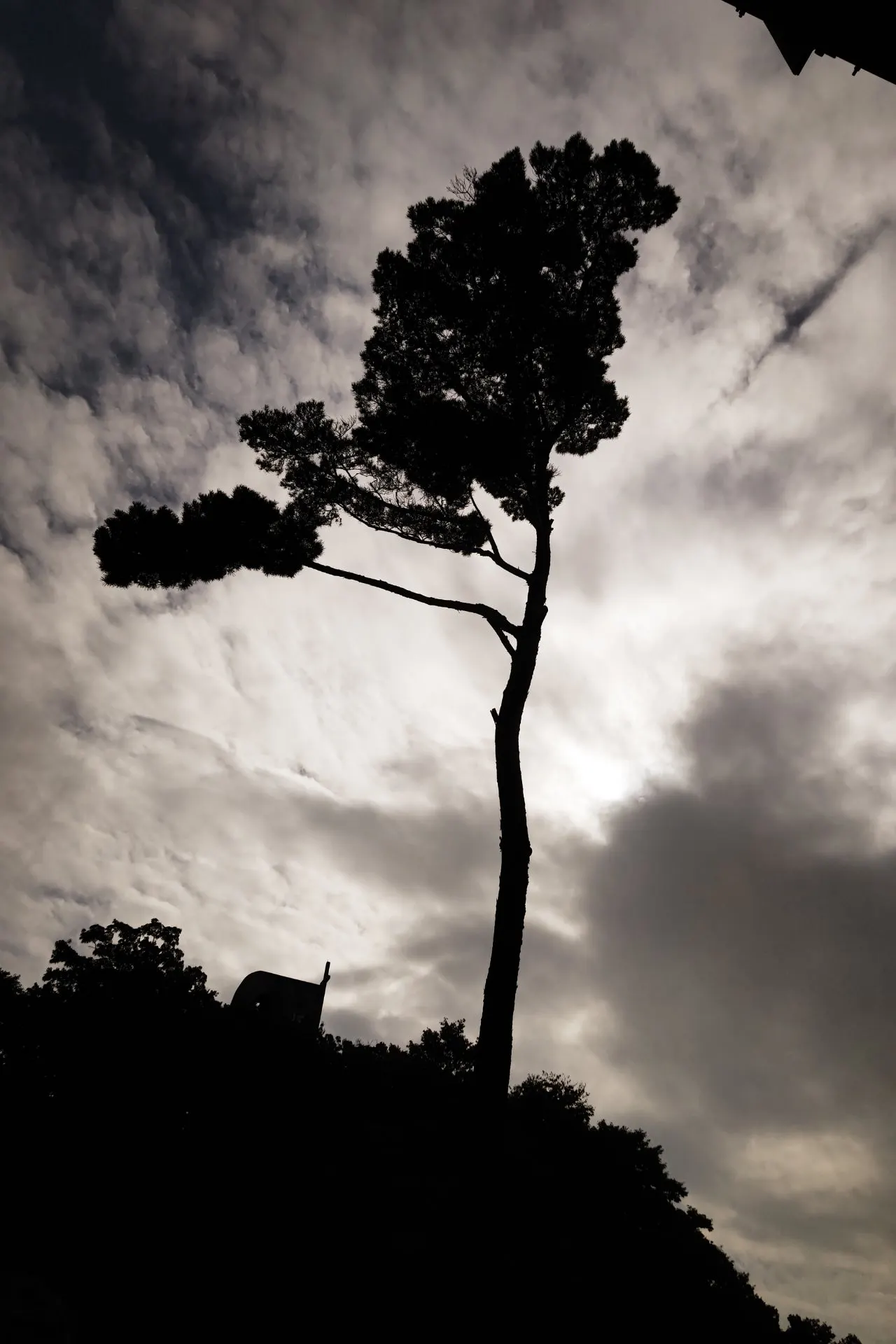 DSC%EF%BC%BF0314.JPG?type=w1600