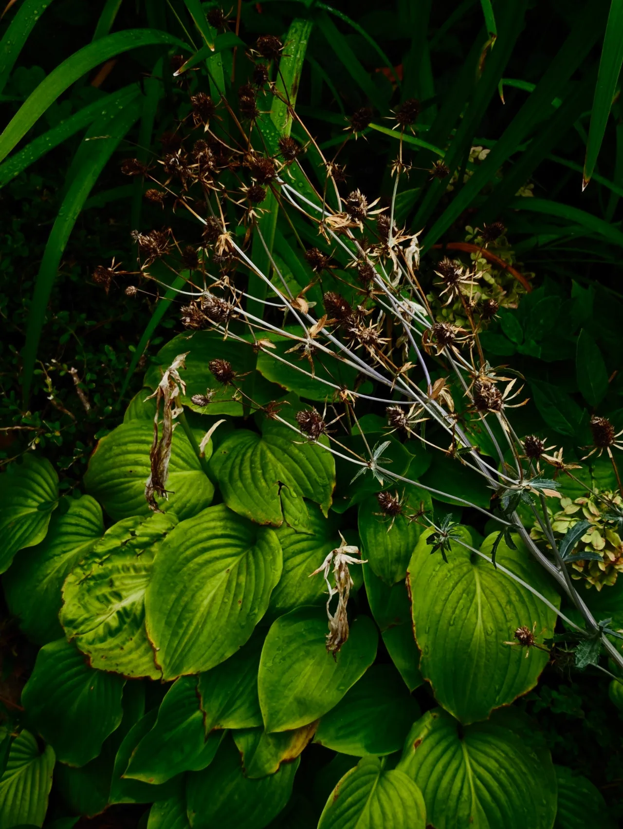 IMG20240906072225.jpg?type=w1600