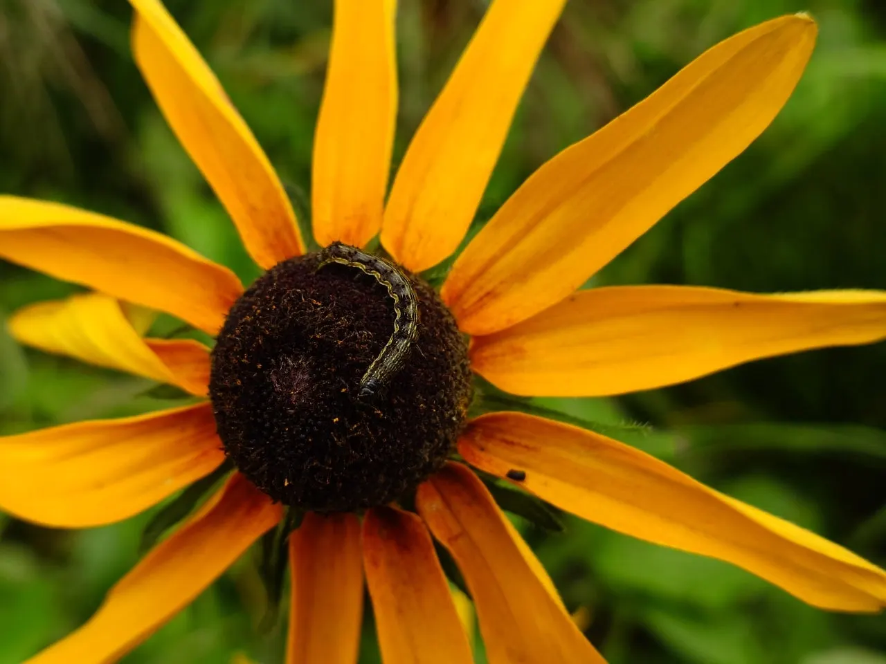 20241028%EF%BC%BF114830120.JPG?type=w1600