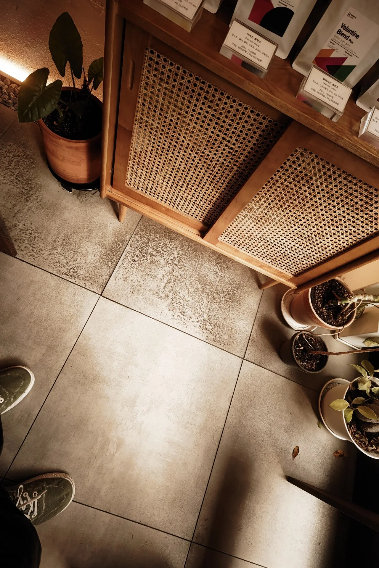 DSC%EF%BC%BF0310.JPG?type=w1600