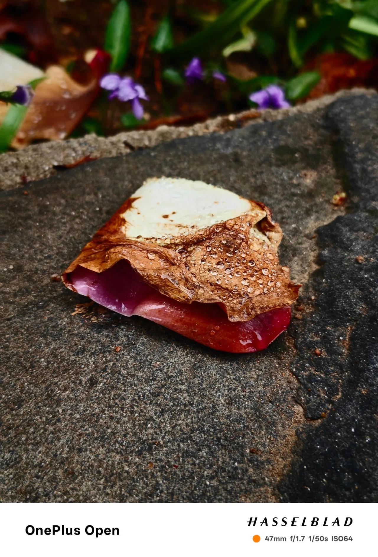 1280%EF%BC%BFIMG20250419075917.jpg?type=w1600