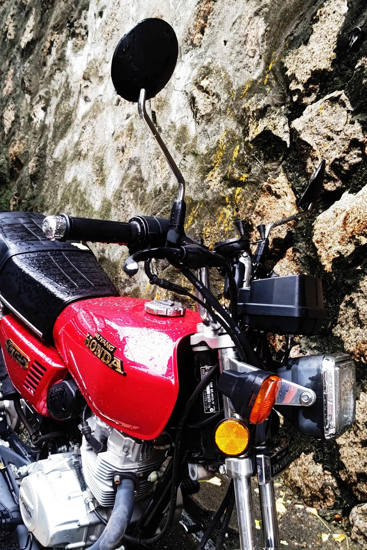 DSC%EF%BC%BF0126.JPG?type=w1600