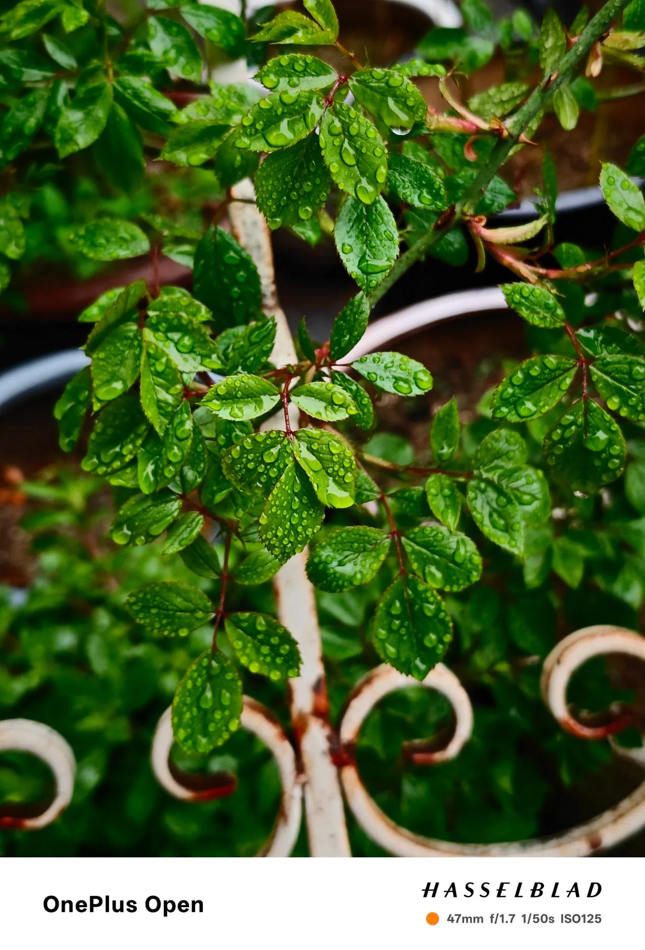 1280%EF%BC%BFIMG20250419075320.jpg?type=w1600