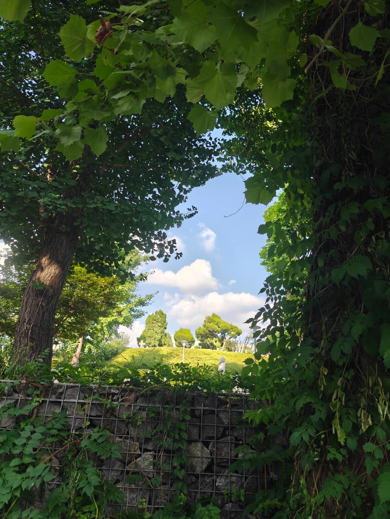 IMG20240714174322.jpg?type=w1600