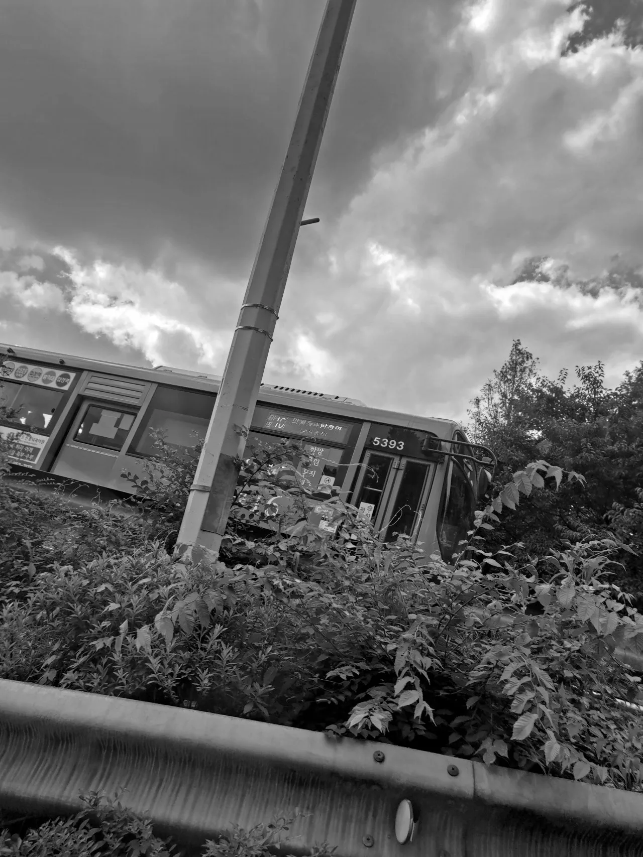 DSC%EF%BC%BF0028.JPG?type=w1600