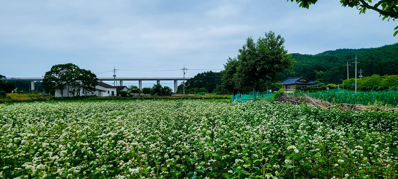 KakaoTalk_Photo_2022-06-08-14-09-26 004.jpeg