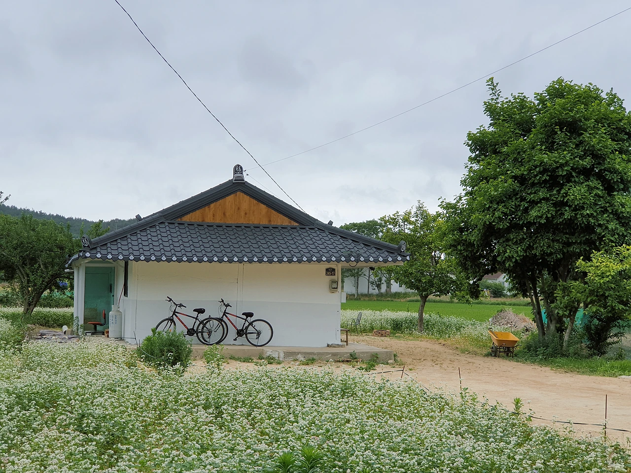 KakaoTalk_Photo_2022-06-08-14-11-15 018.jpeg