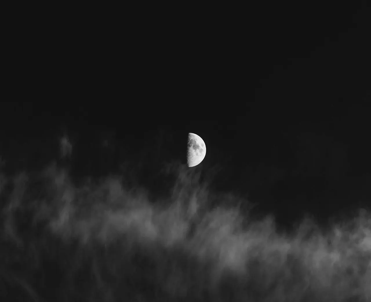 0046f218-691e-417b-b3b2-698417cef20b.jpg?v=1559180774