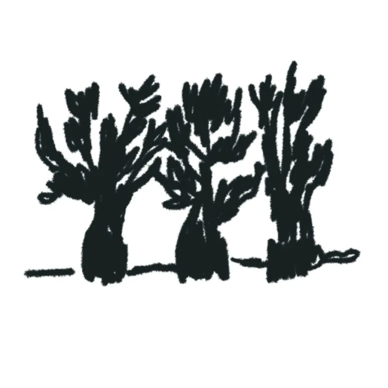 IMG_1777.JPG?type=w773