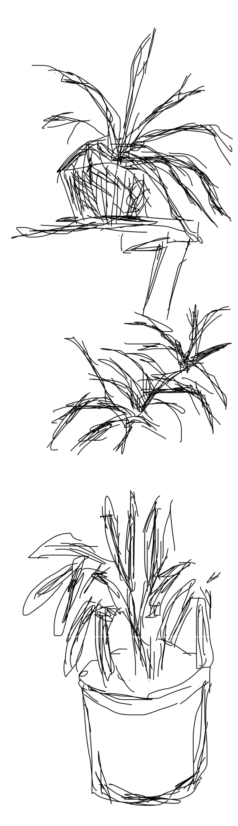 IMG_2168.PNG?type=w773