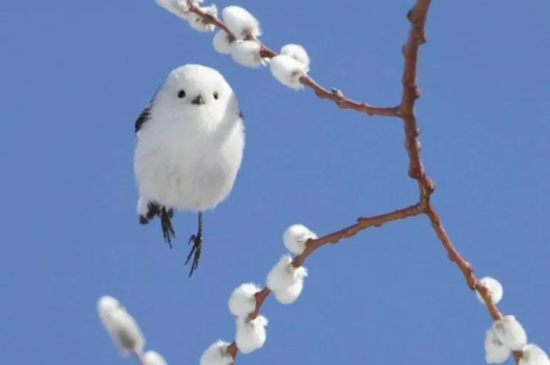 IMG_2798.JPG?type=w773