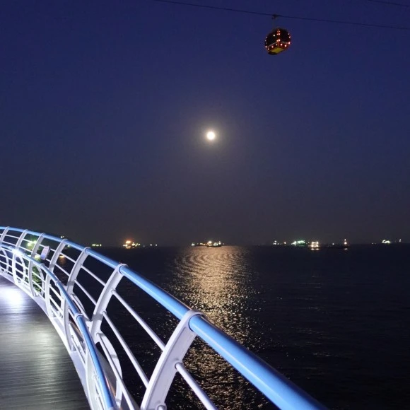 SE-338d3b3d-e668-4523-8bca-701c4f6f1845.jpg?type=w580