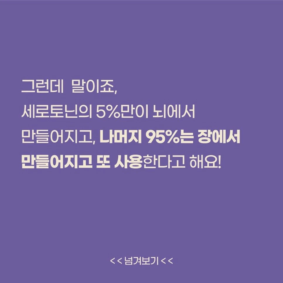 331767341_888266382393489_6658256483448304234_n.jpg?type=w966