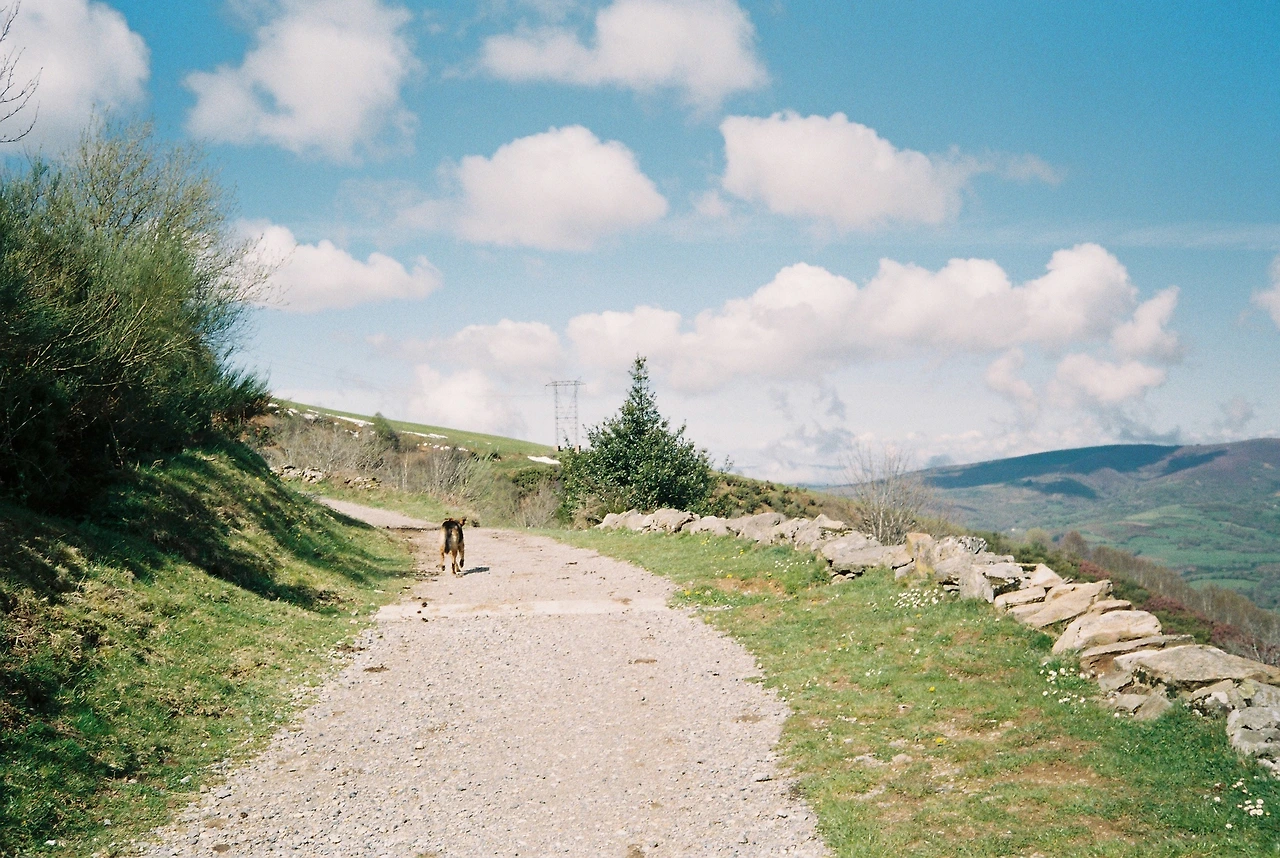 000028 복사본.JPG