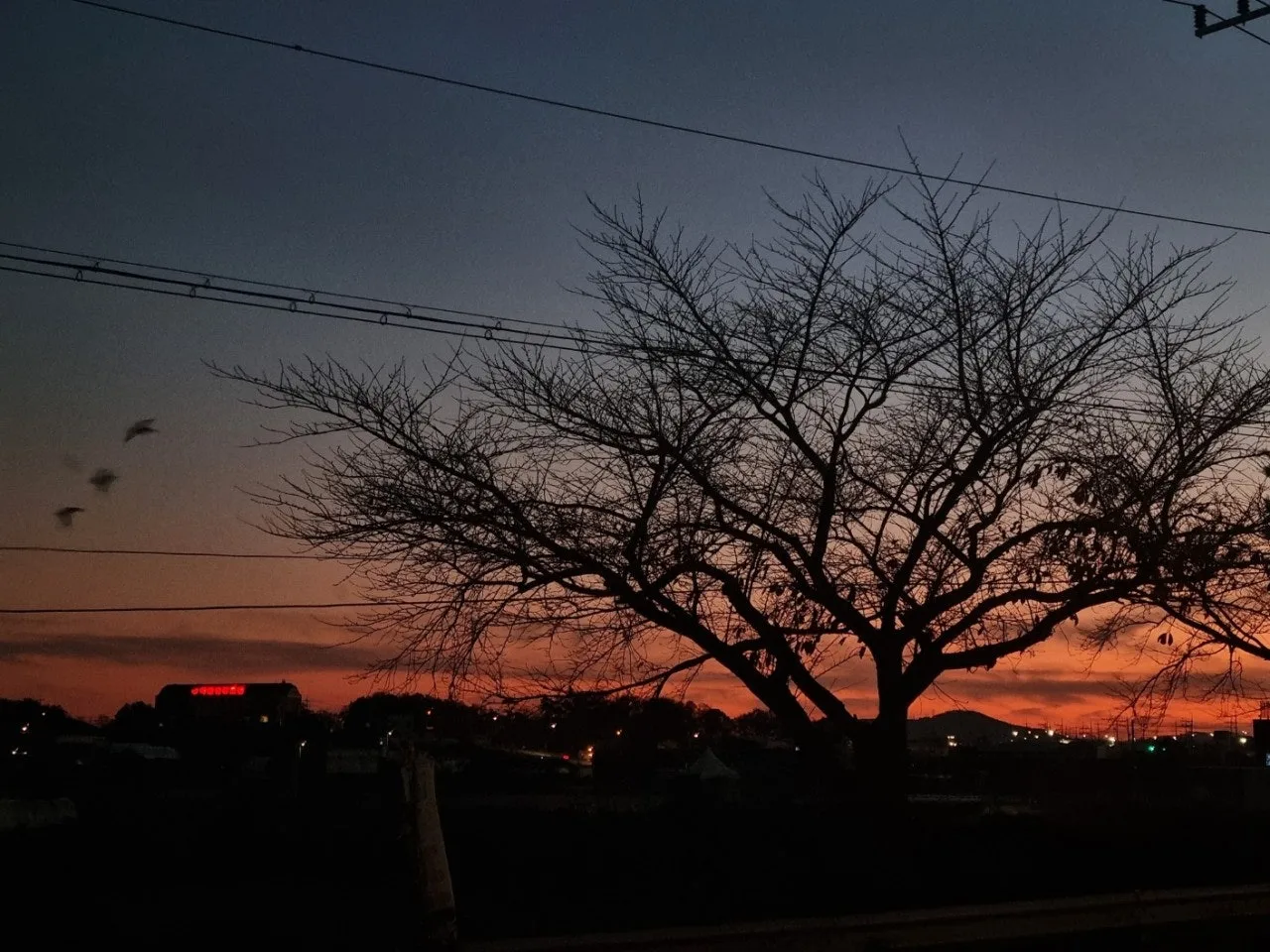 2_6heUd018svc6z2yw6p5wjt9_q1zrk1.jpg?type=e1920_std