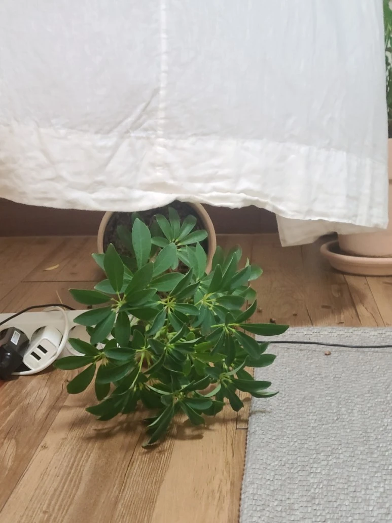 20220215%EF%BC%BF190359.jpg?type=w773