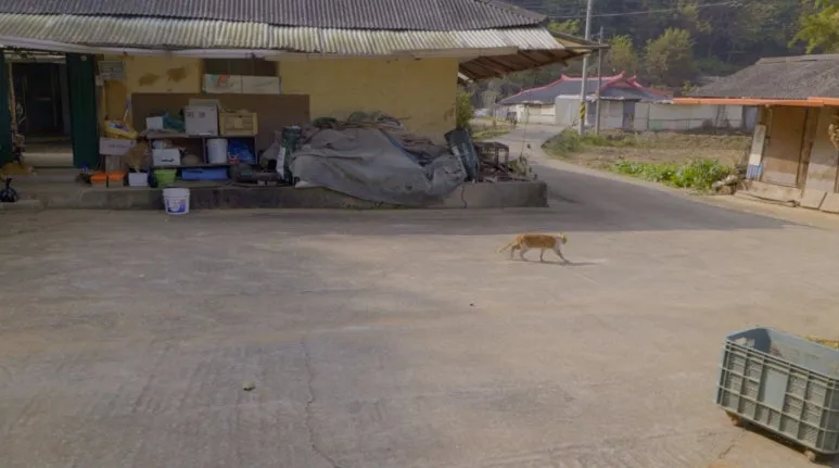 mm_740fa0f061524a.jpg?type=w773