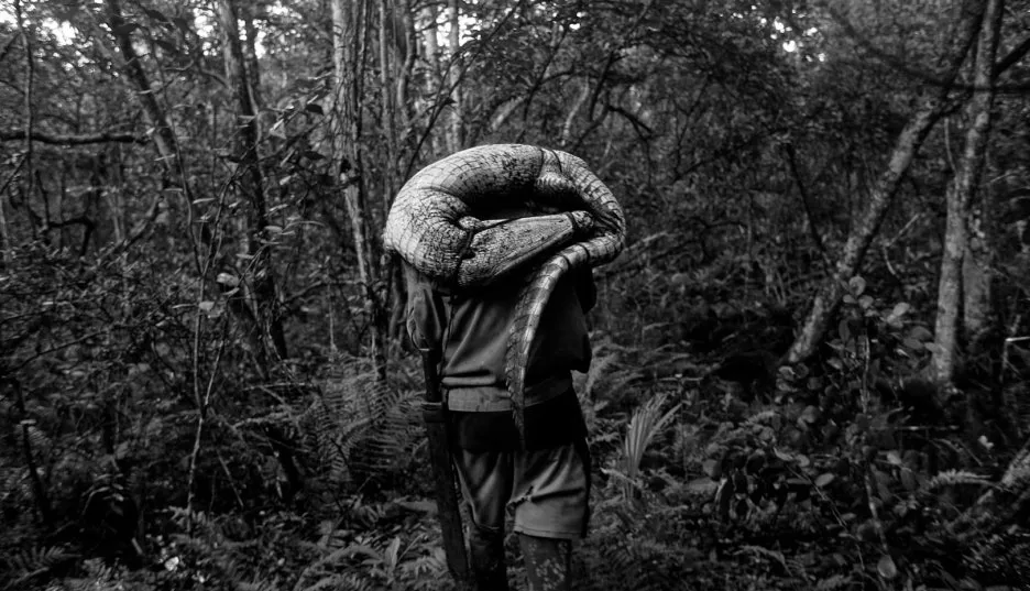 %EC%9E%90%ED%8C%8C%ED%83%80.jpg?type=w1