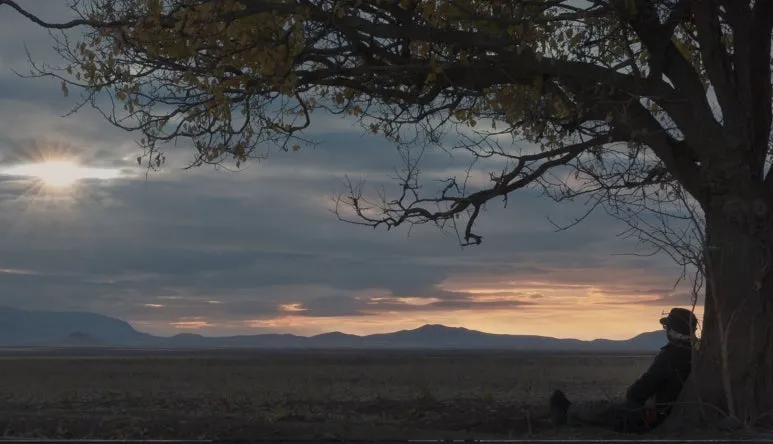 m3_94132761ebf549.jpg?type=w773