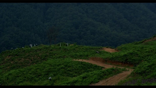 common_(1).jpg?type=w1