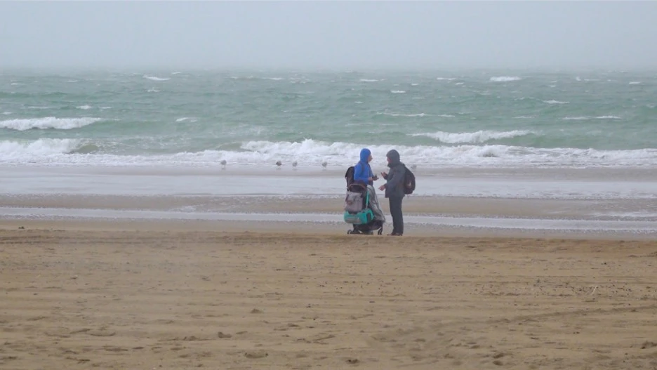 bodo_still_01.jpg?type=w1