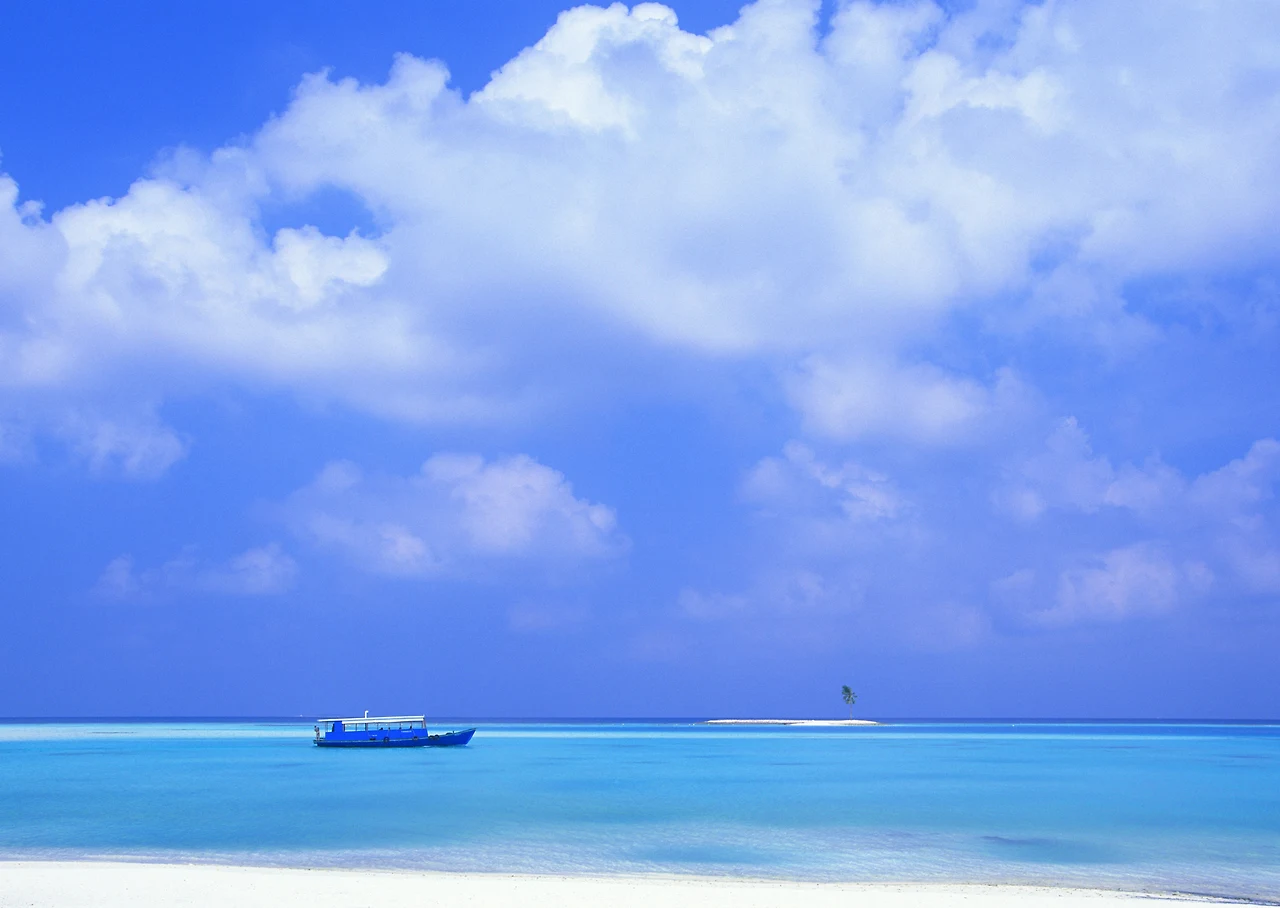 2019년 12월호-예스58.JPG