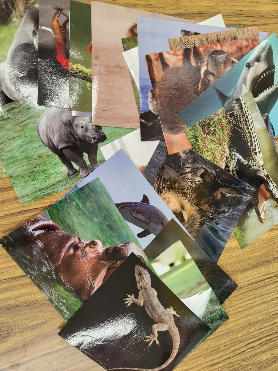 20220916_142101.jpg?type=w1