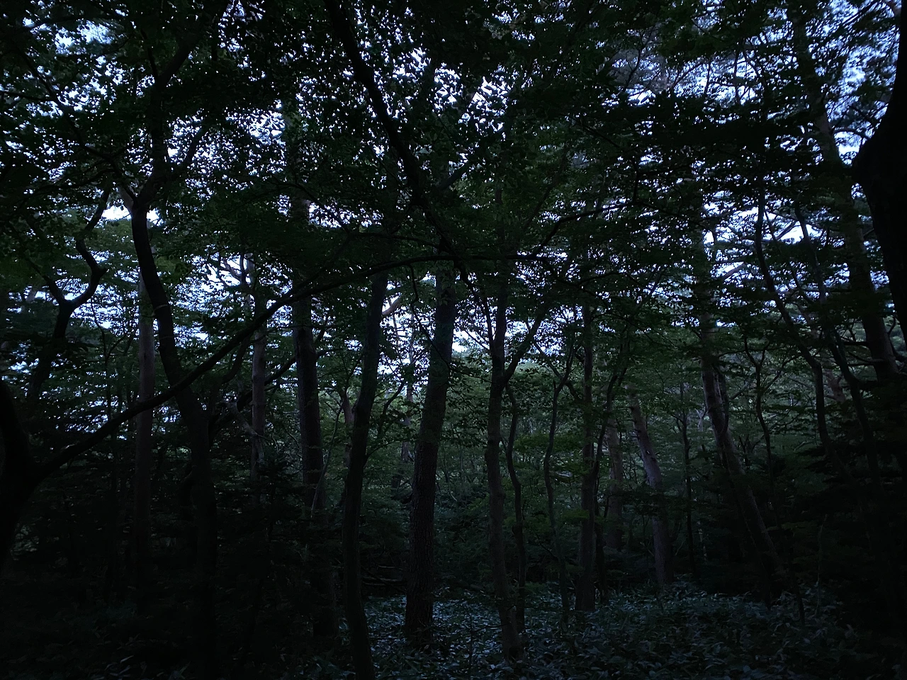 0 시작 해뜨기전.JPG