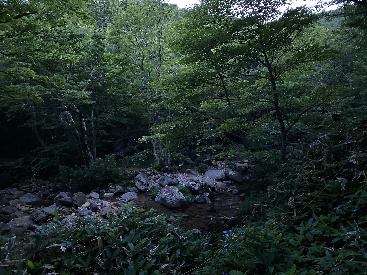 1 아름다운 영실계곡.JPG