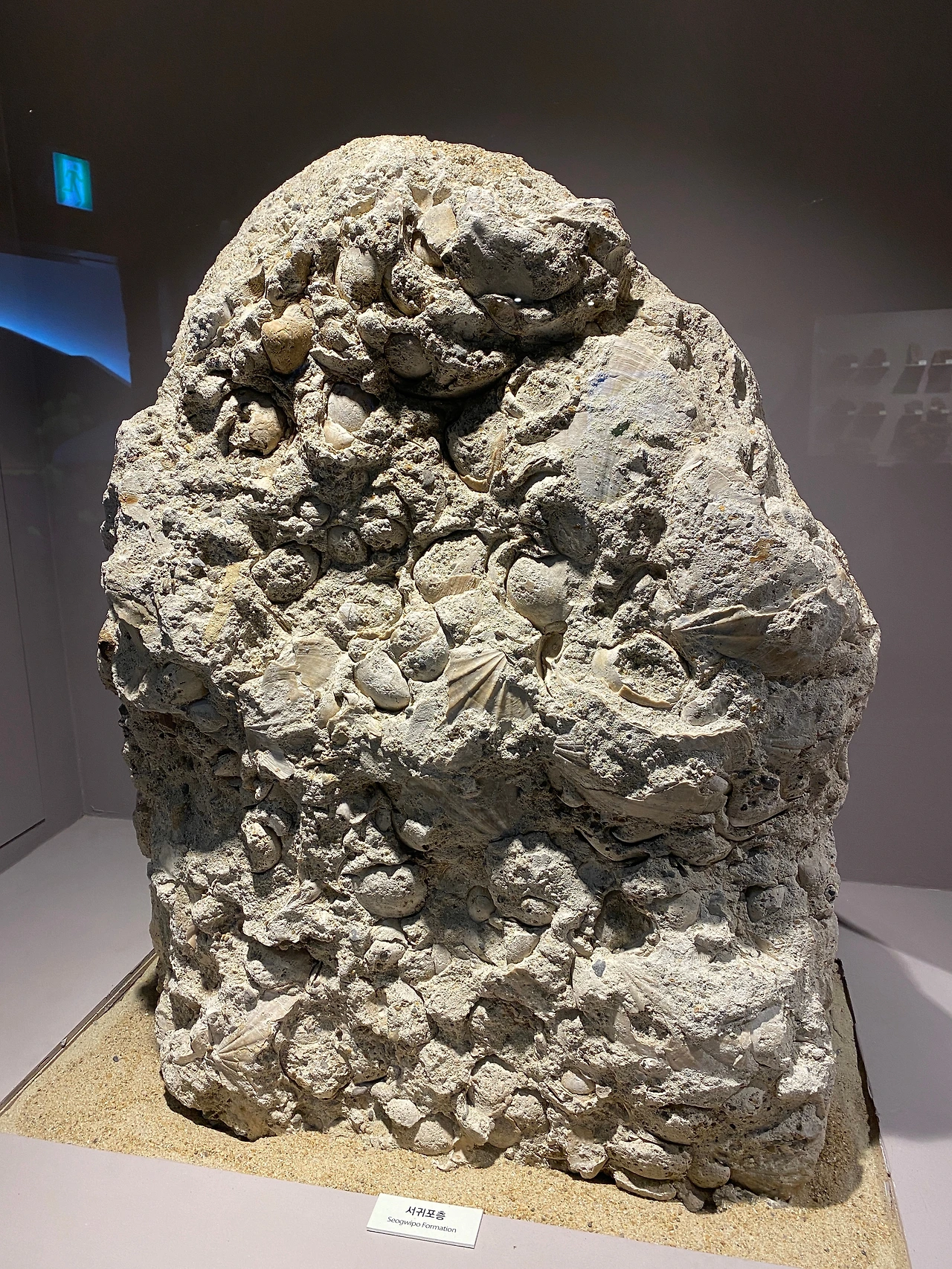 더 좋은 서귀포층.JPG