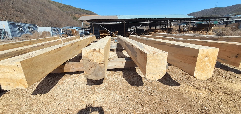 20230221_114647-min-fotor-2025021554353.png?type=w1