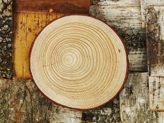 %EC%86%8C%EB%82%98%EB%AC%B4(%EC%9C%A1%EC%86%A1).jpg?type=w1