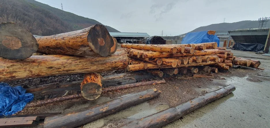 20230312_154845.jpg?type=w1