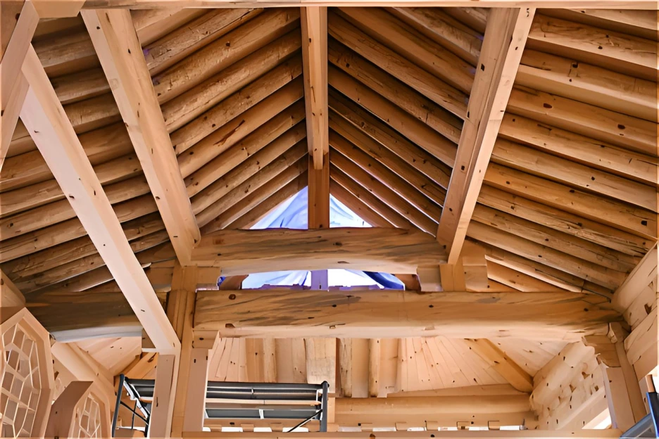 %EC%82%AC%EC%A7%84321-fotor-20250429192857.png?type=w1