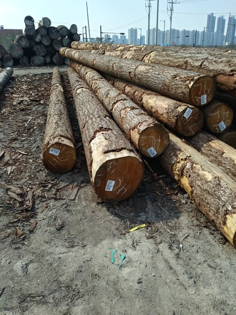 20200409_151124_HDR.jpg?type=w1