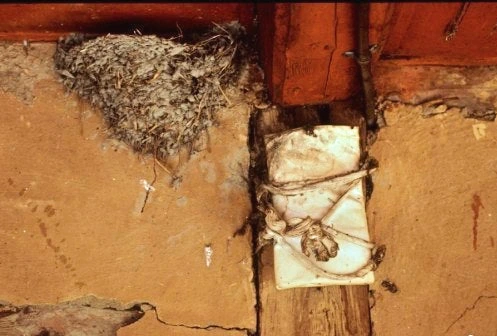 SE-f1b81994-eb7d-4a62-ae86-fc13bd83fbcb.png?type=w1