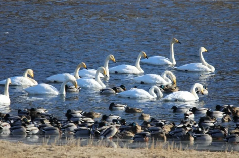 KakaoTalk_20250913_004547835.jpg?type=w1