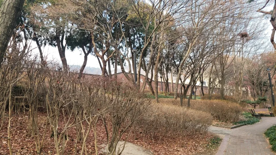 KakaoTalk_20251228_215400304_04.jpg?type=w1