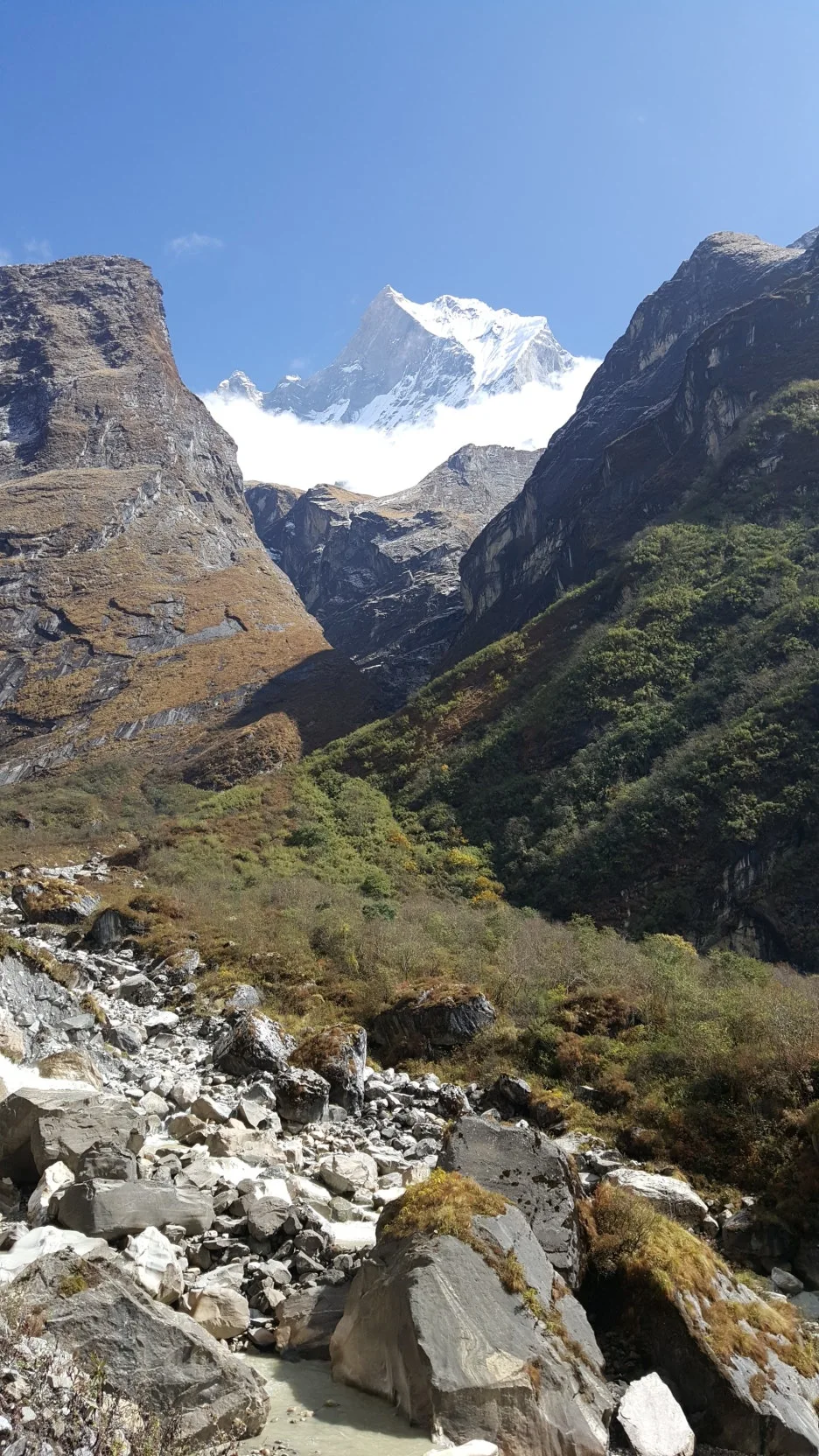 KakaoTalk_20260105_102925113.jpg?type=w1