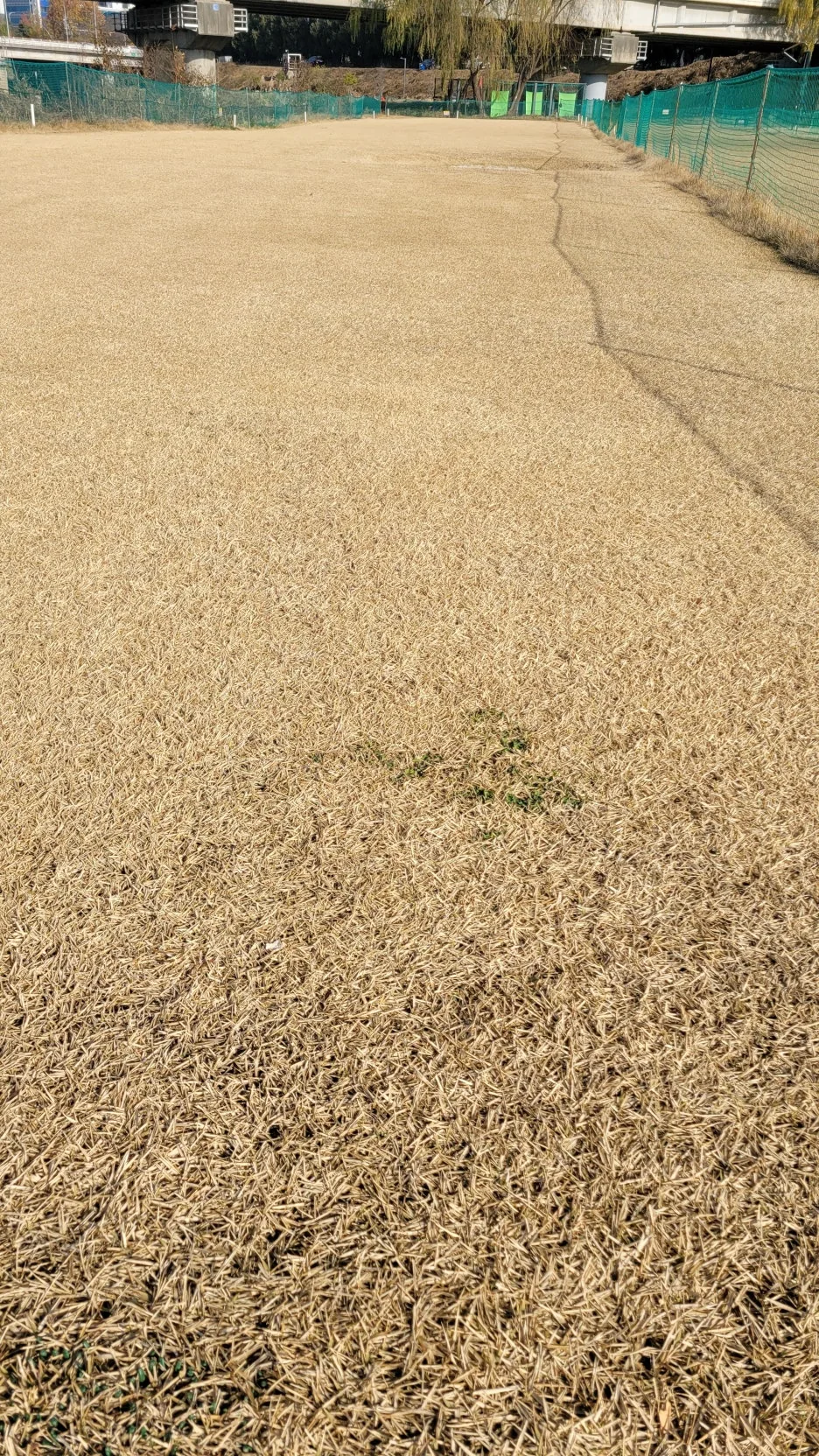 KakaoTalk_20251130_101722294_02.jpg?type=w1