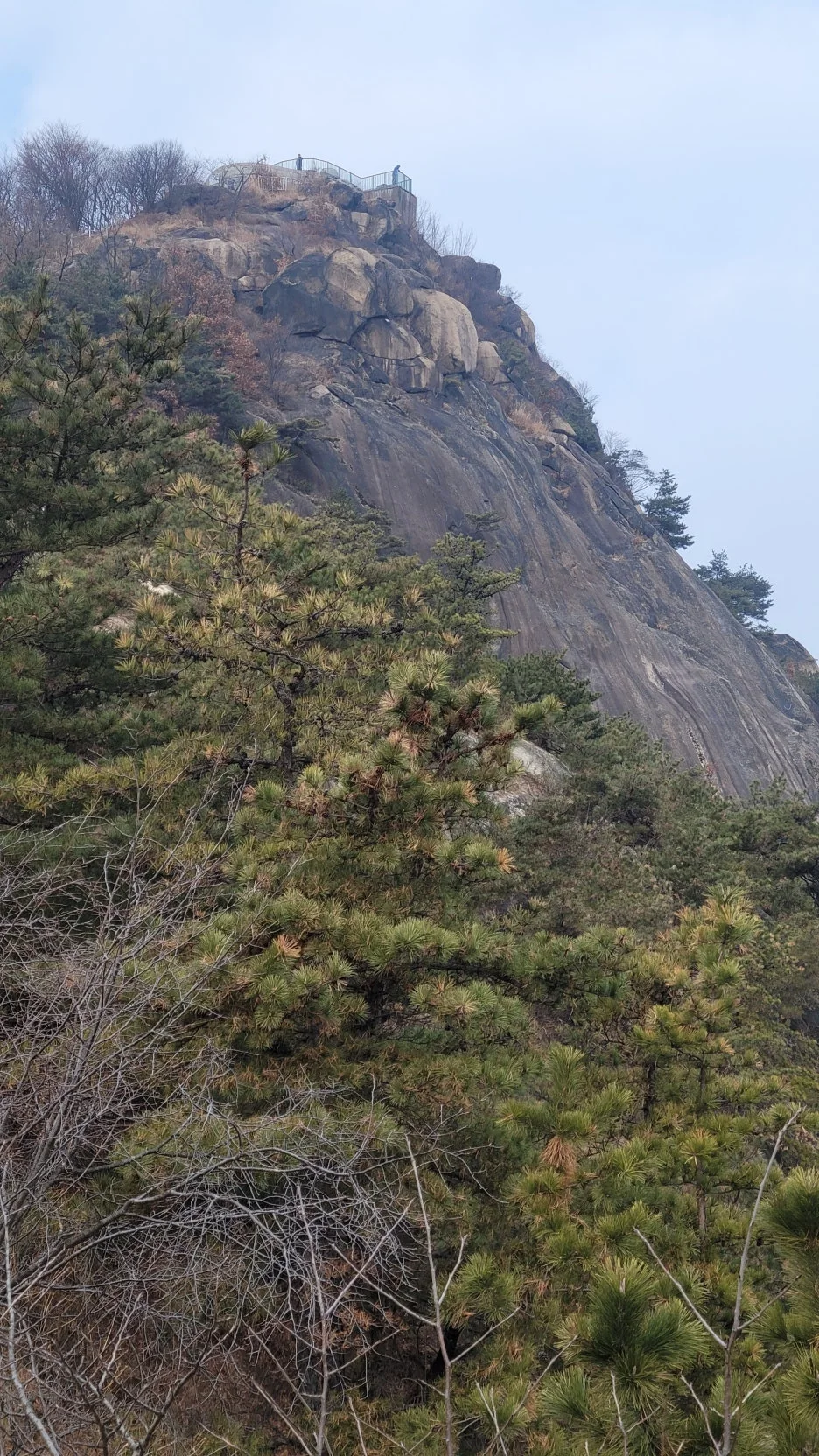 KakaoTalk_20251228_215400304_11.jpg?type=w1