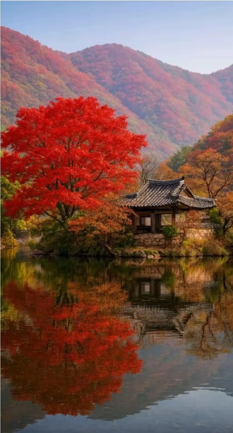 KakaoTalk_20251117_213230310.jpg?type=w1