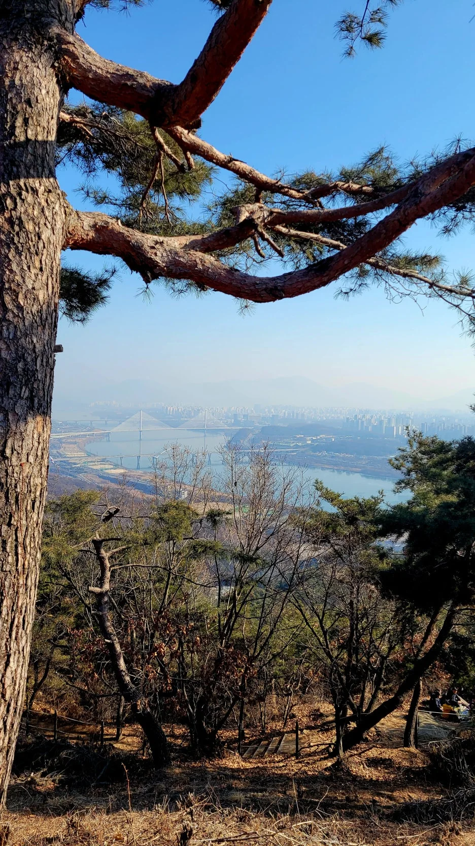 KakaoTalk_20260104_184504627.jpg?type=w1