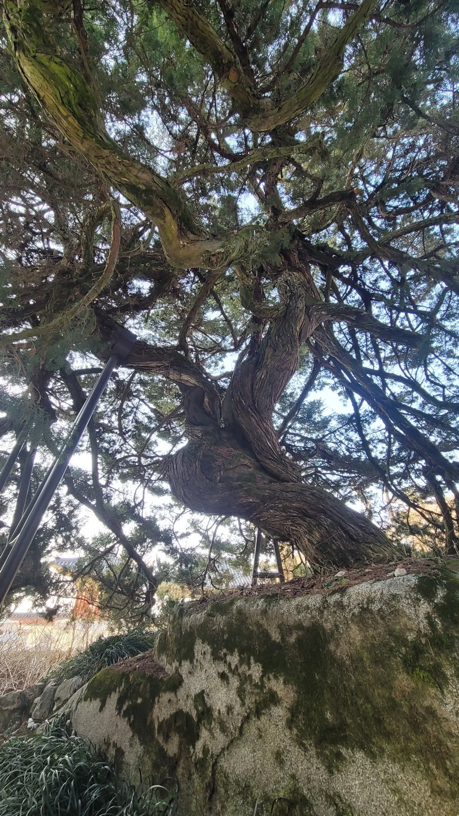 KakaoTalk_20260104_002325997.jpg?type=w1