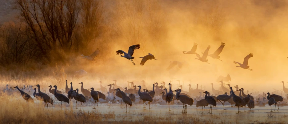 20251204_091411.png?type=w1